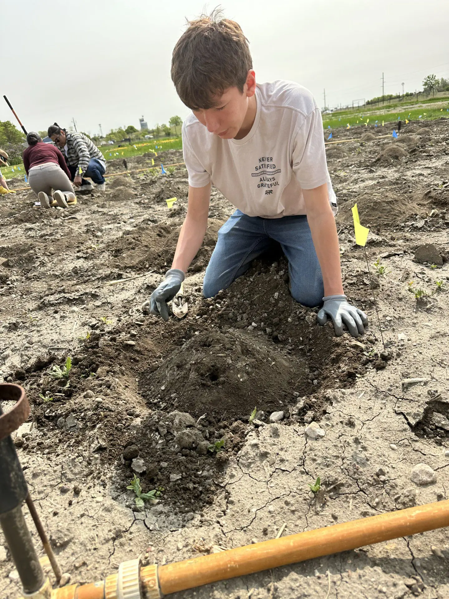 A boy planting seeds in a garden plot.
