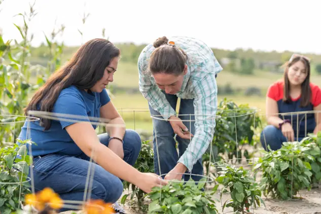 Tending Plants
